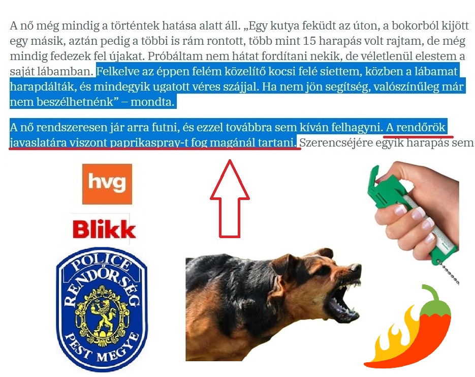 Paprikaspray-t ajánlott a rendőrség a kutyatámadás áldozatának – kérdések